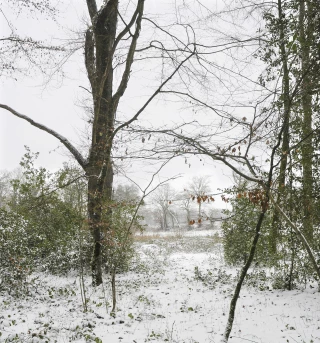 Paysages écrits 
en blanc